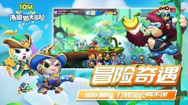 小艾比当营养师