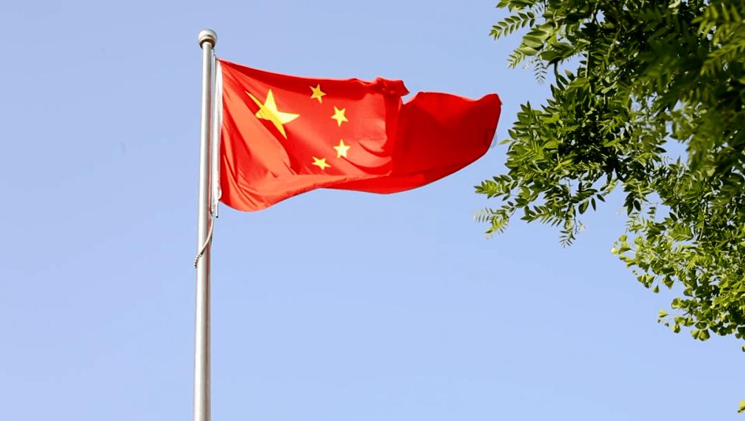 碰到一只流浪狗 看了它一眼之后 就像着了魔似的跟着我